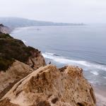 Torrey Pines