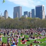 Sheep Meadow