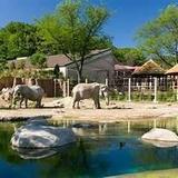Cleveland Metroparks Zoo