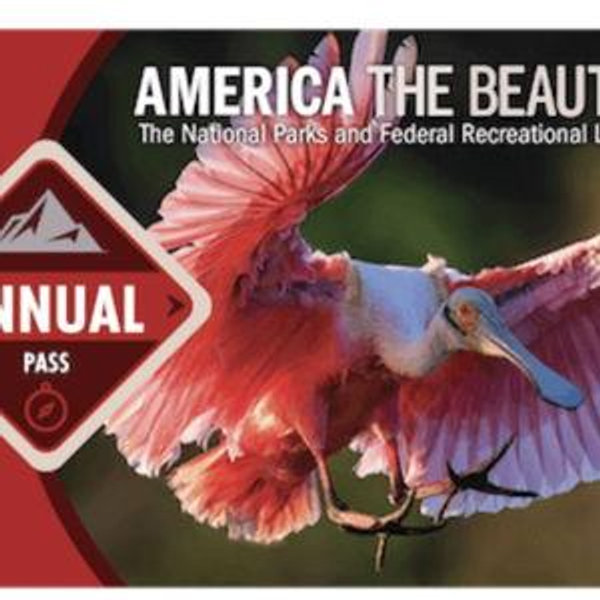National Parks Pass