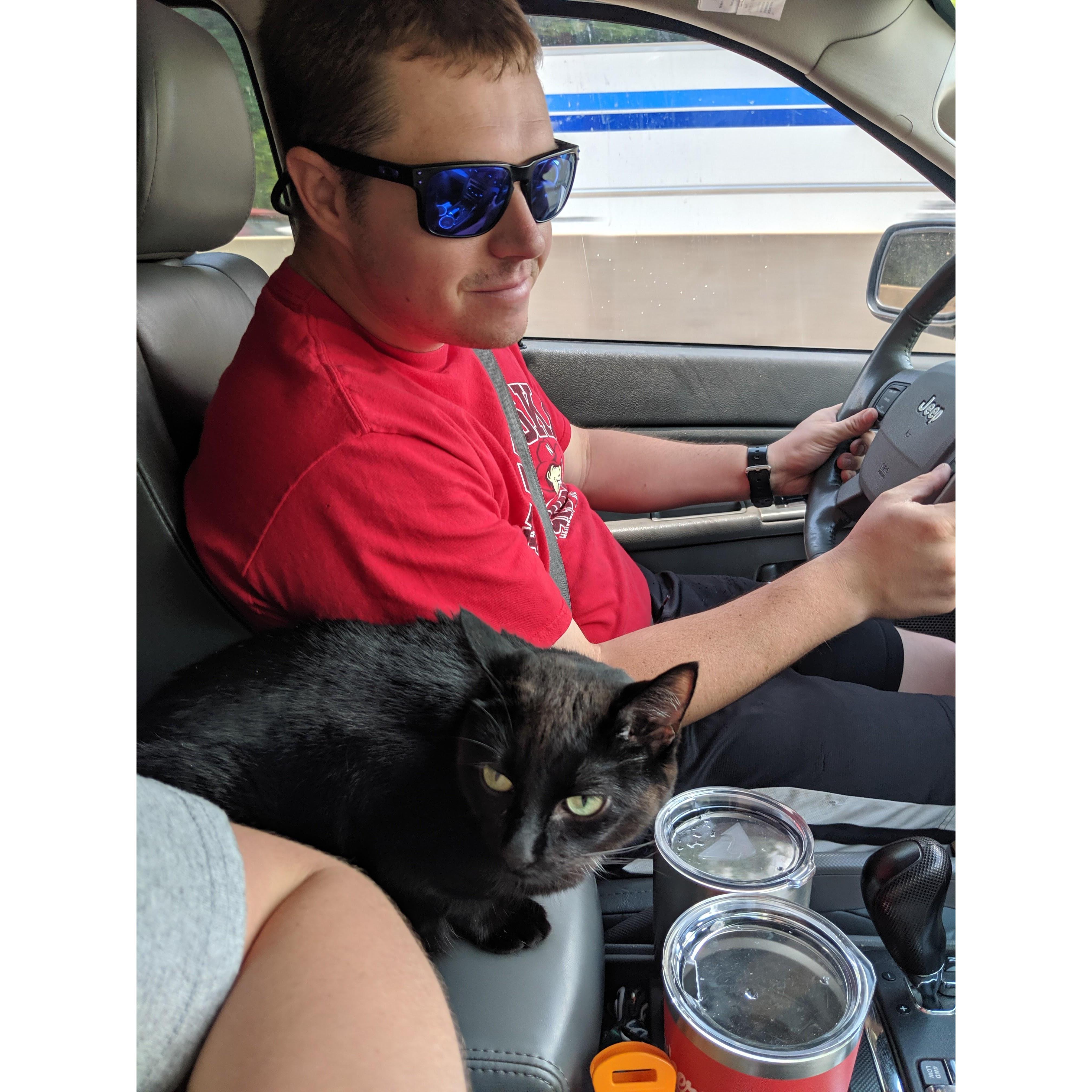 Junie co-piloting as we drive back from NYC