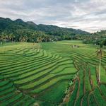 Cadapdapan Rice Terraces