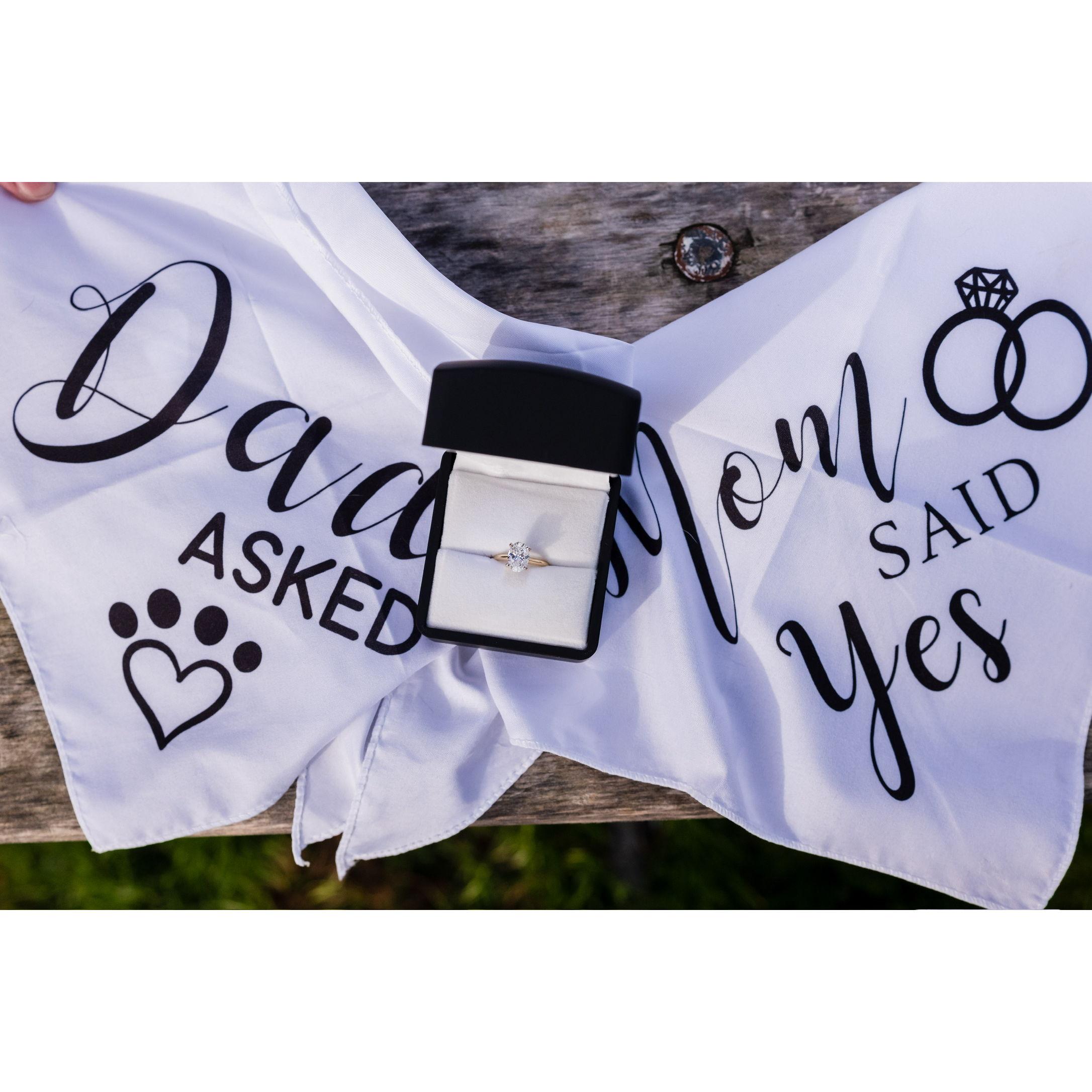 Of course the boys were part of this big day and close up of the ring!