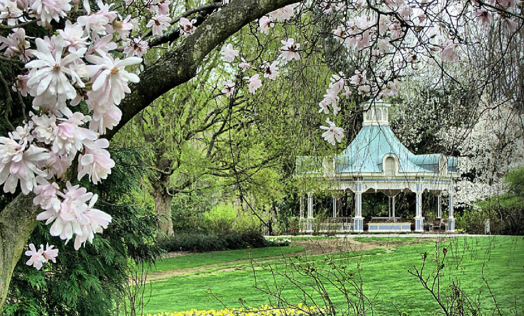 The Wedding Website of Nicolle Smith and Christopher Anderson