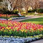 Cheekwood: Estate and Gardens