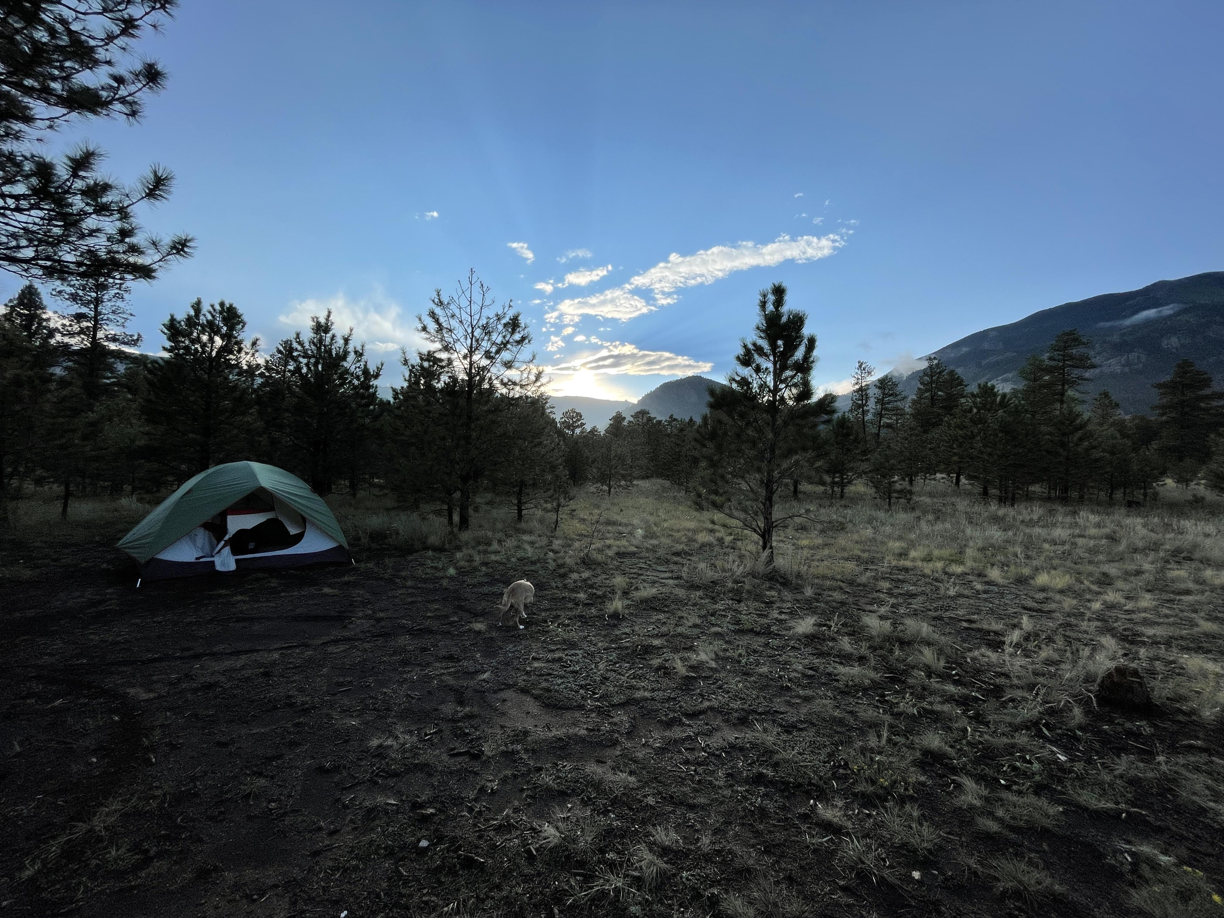 The Wedding Website of Emily McNulty and Vinnie Tiberio