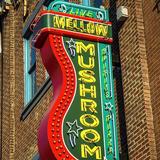 Mellow Mushroom