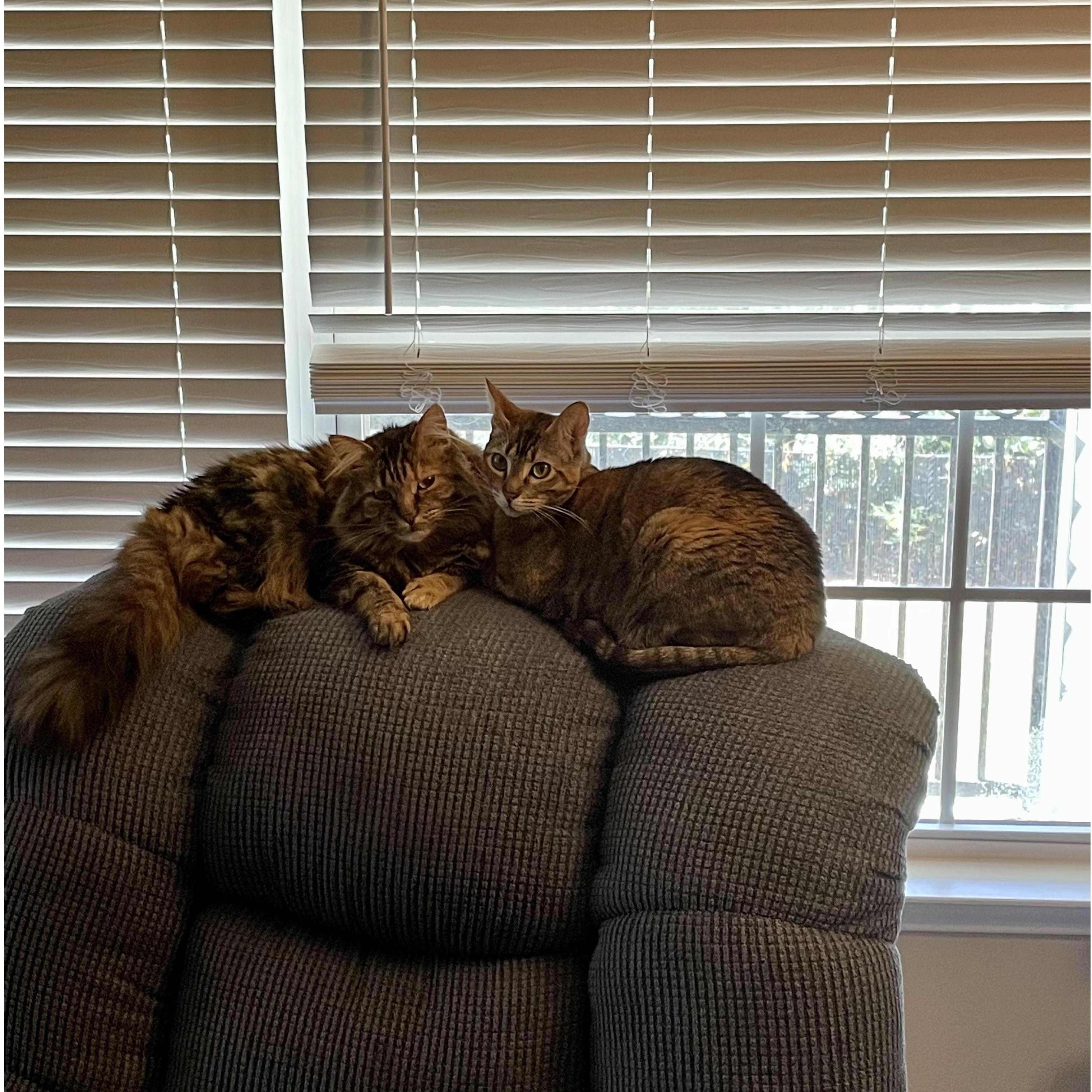 Moira and Lara Jean love their home in Hattiesburg! Jury's still out on the dog, though...