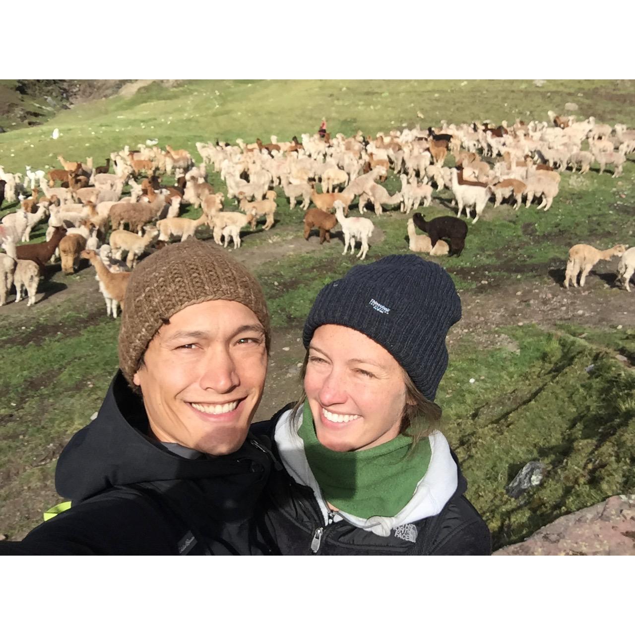 In the Andes
