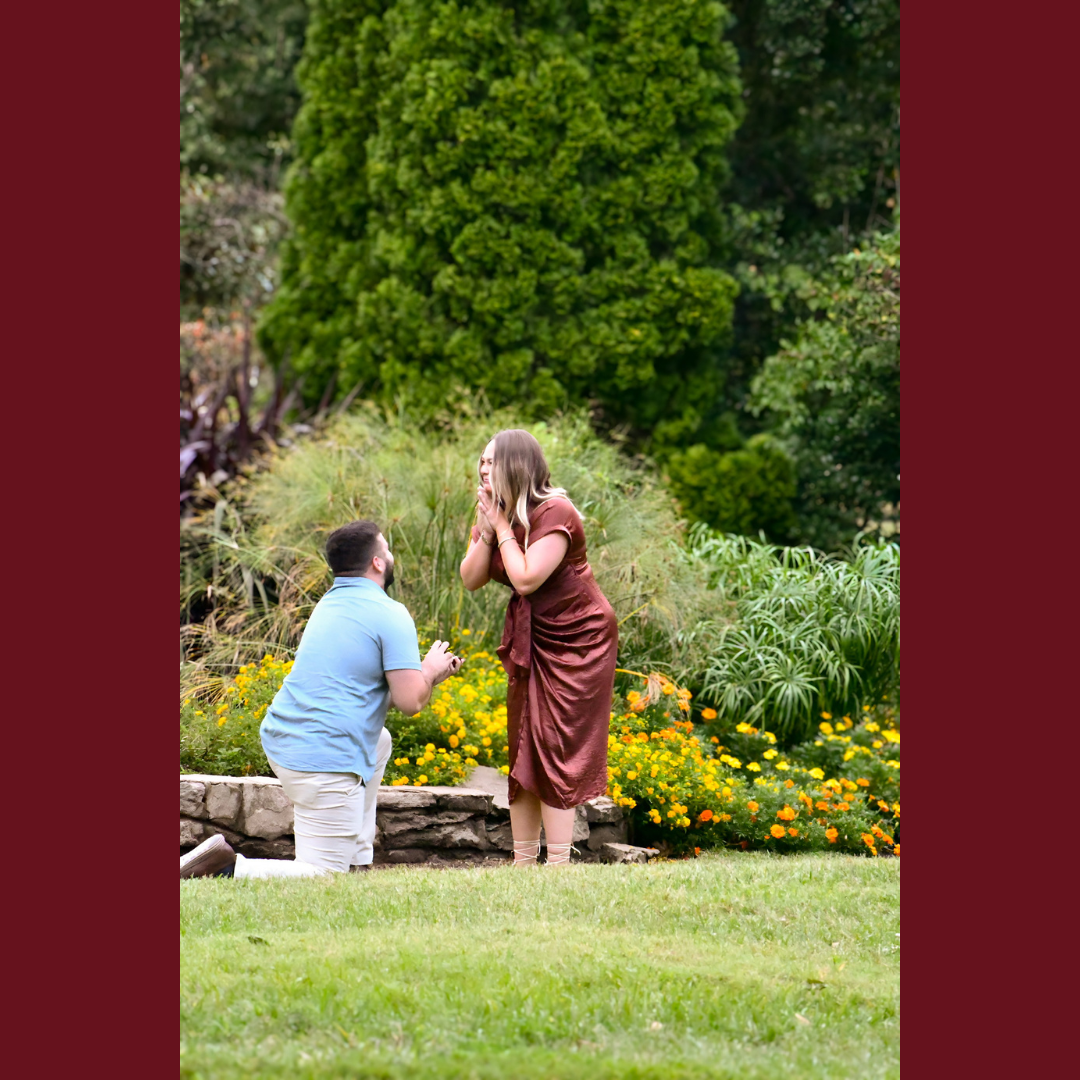 The proposal in Nashville's famous Centennial Park