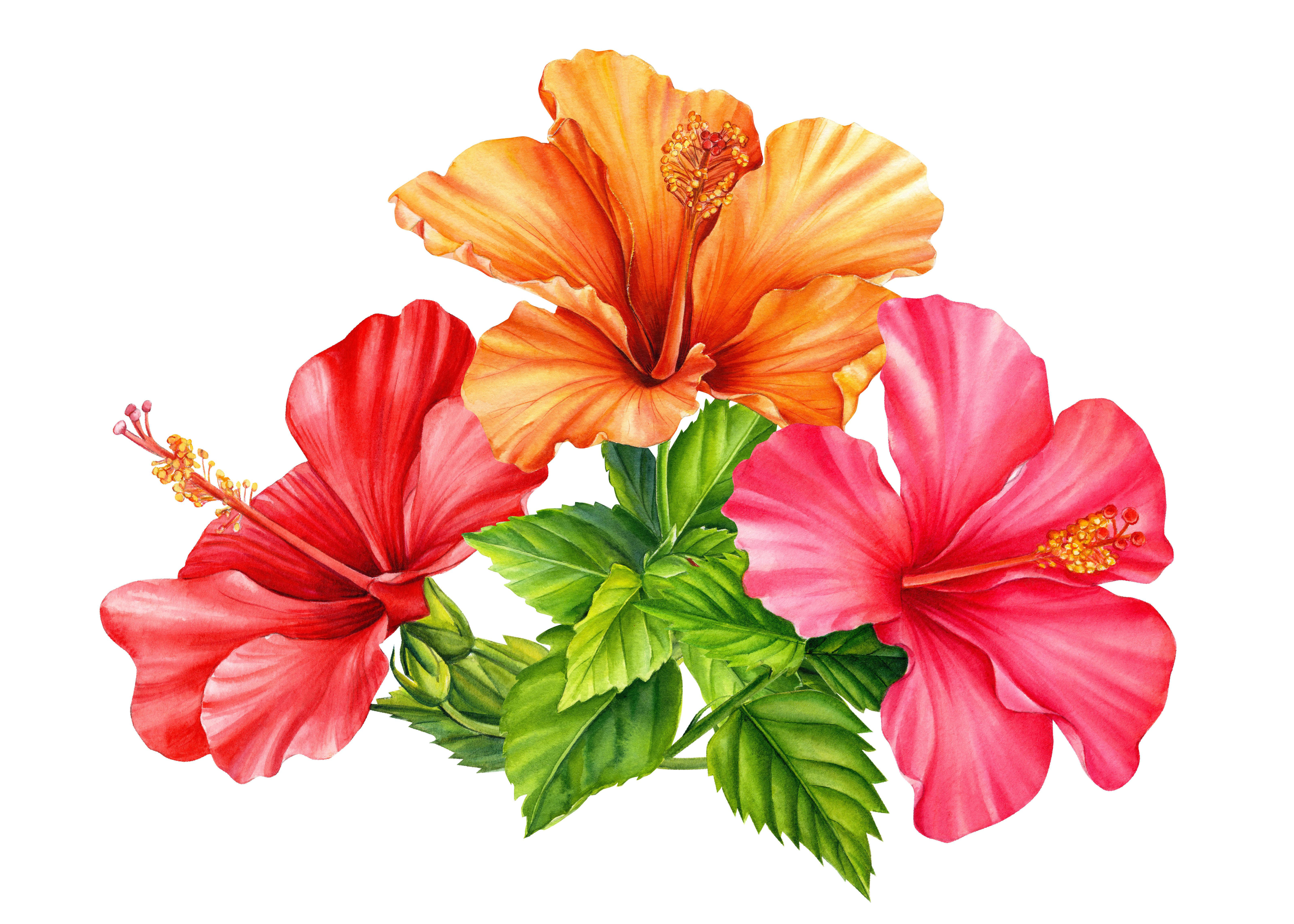 The Wedding Website of Jennifer Sedano and Martin Heneghan