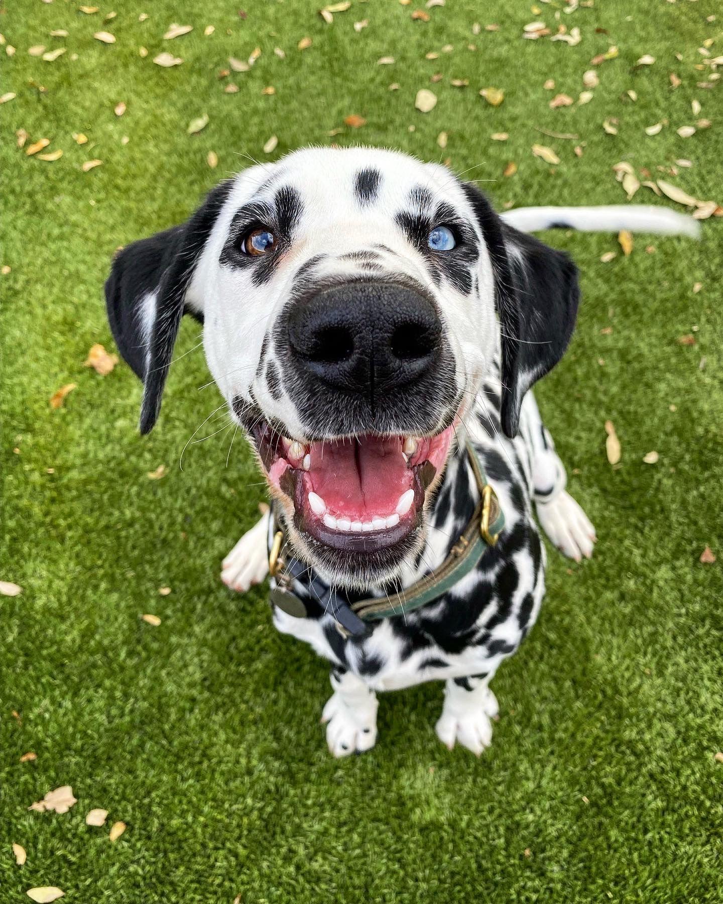 The Wedding Website of Beck Baird and Kelly Zier