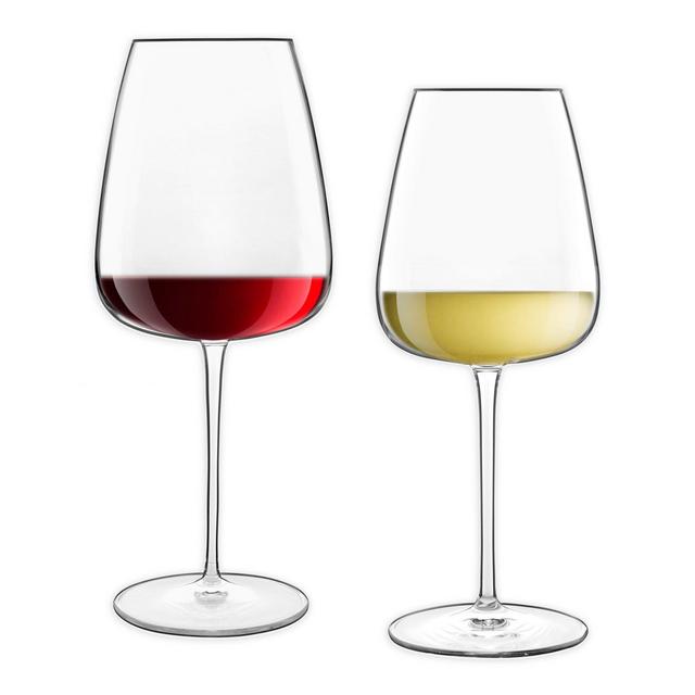 Luigi Bormioli Talismano Red & White Wine Glasses (Set of 8)