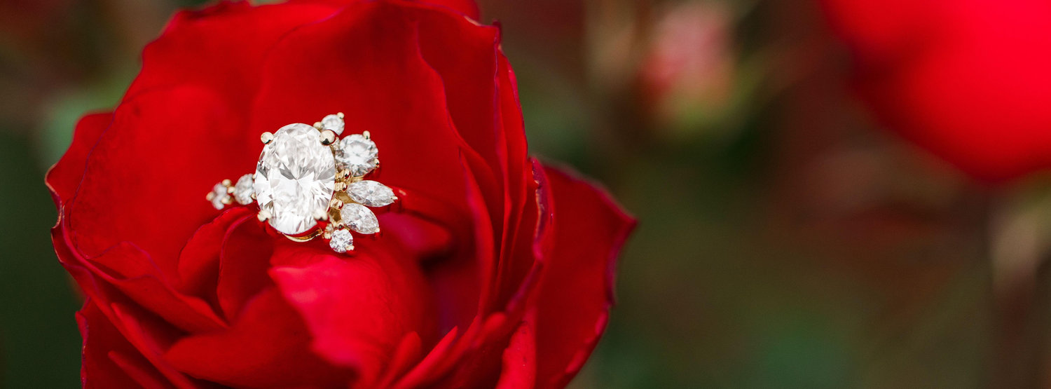 The Wedding Website of Michelle Lindeman and Krystian Jaronczyk