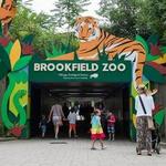 Brookfield Zoo