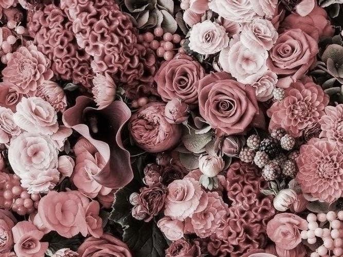 The Wedding Website of Jessica Vance and David Brown