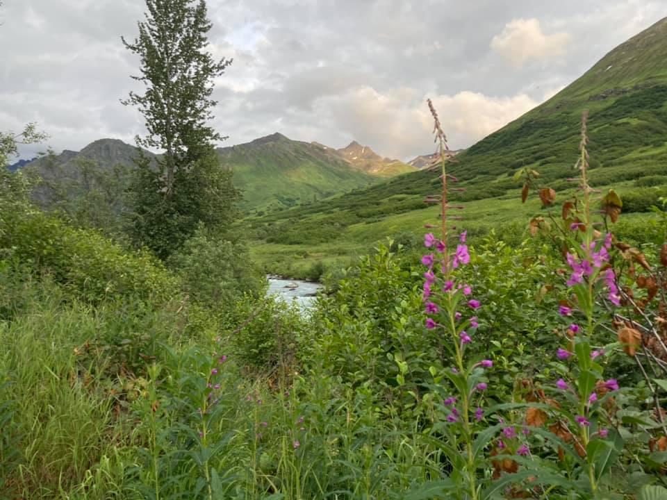 The Wedding Website of Jennifer Christopherson and Bradley Woolworth