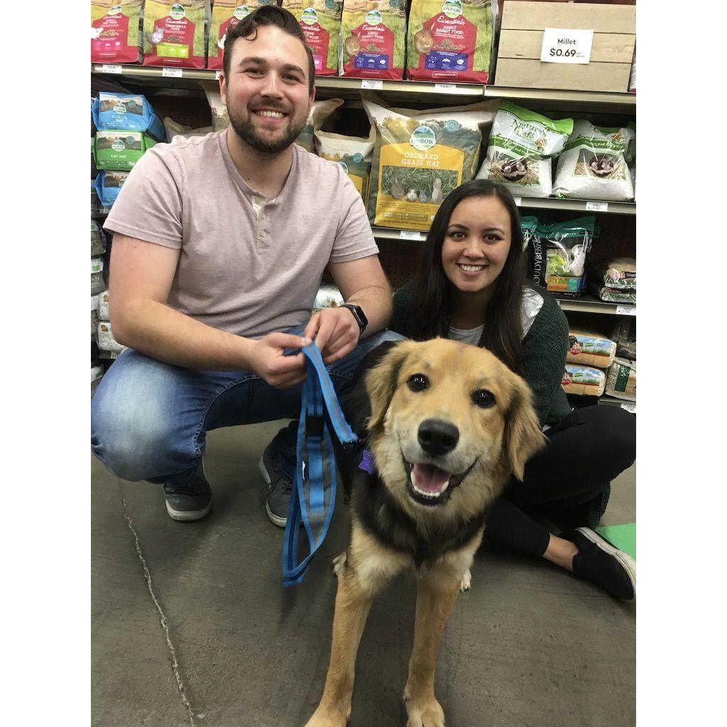 Adopting Ollie <3 | November 2019