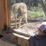 Squam Lakes Natural Science Center