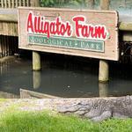 St. Augustine Alligator Farm Zoological Park
