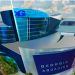 Georgia Aquarium