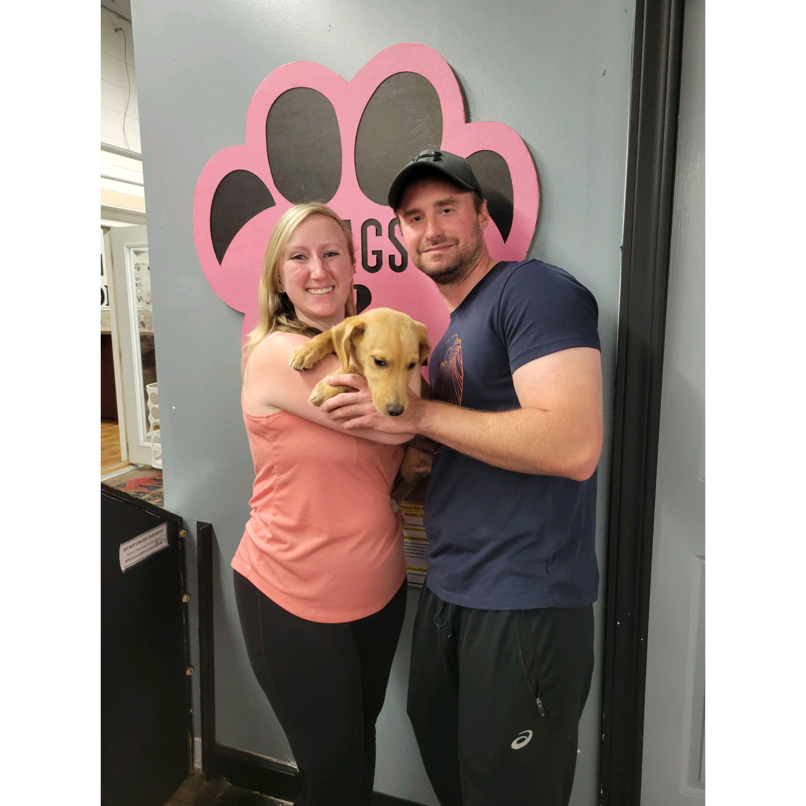 The day we adopted Tucker September 2022