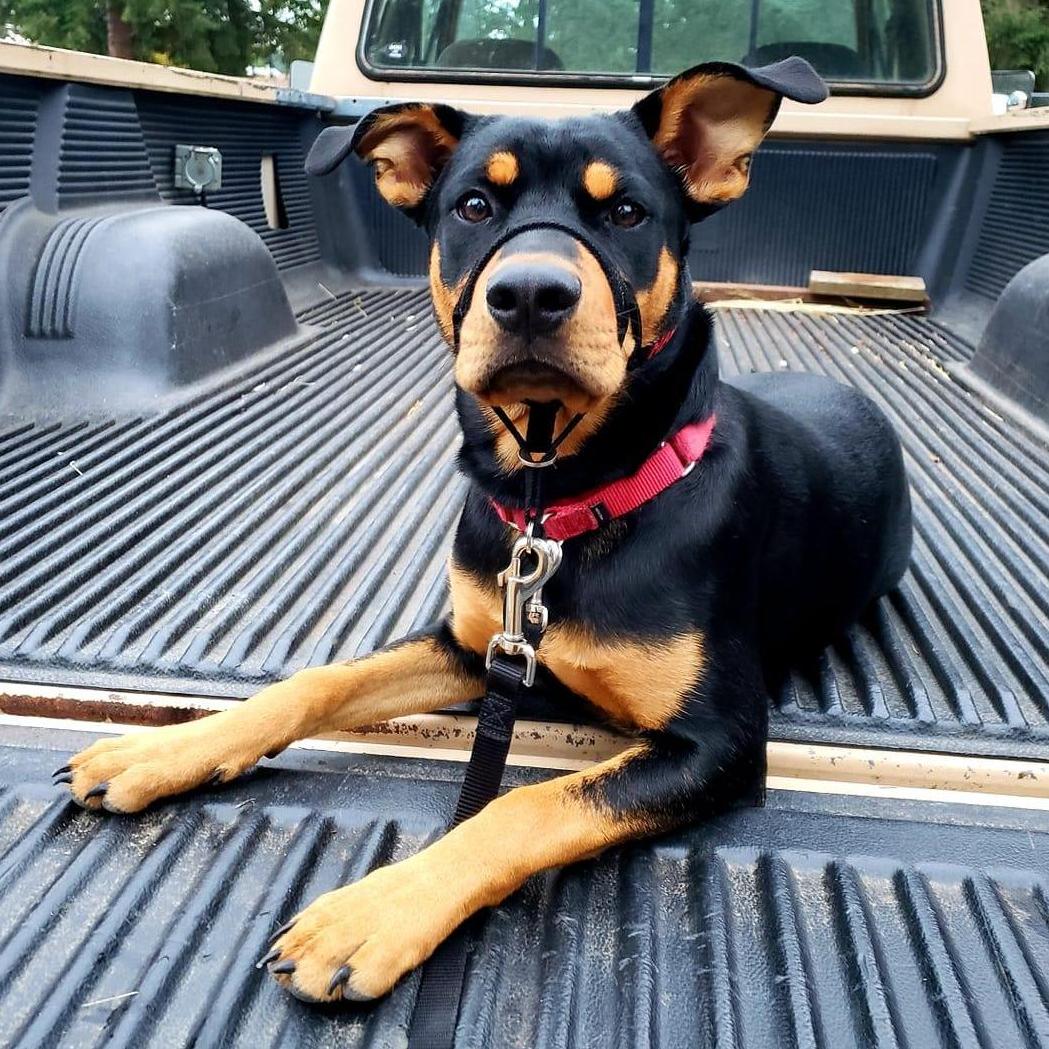 Miss Delilah girl!