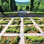 The North Carolina Arboretum