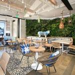 Mendocino Farms
