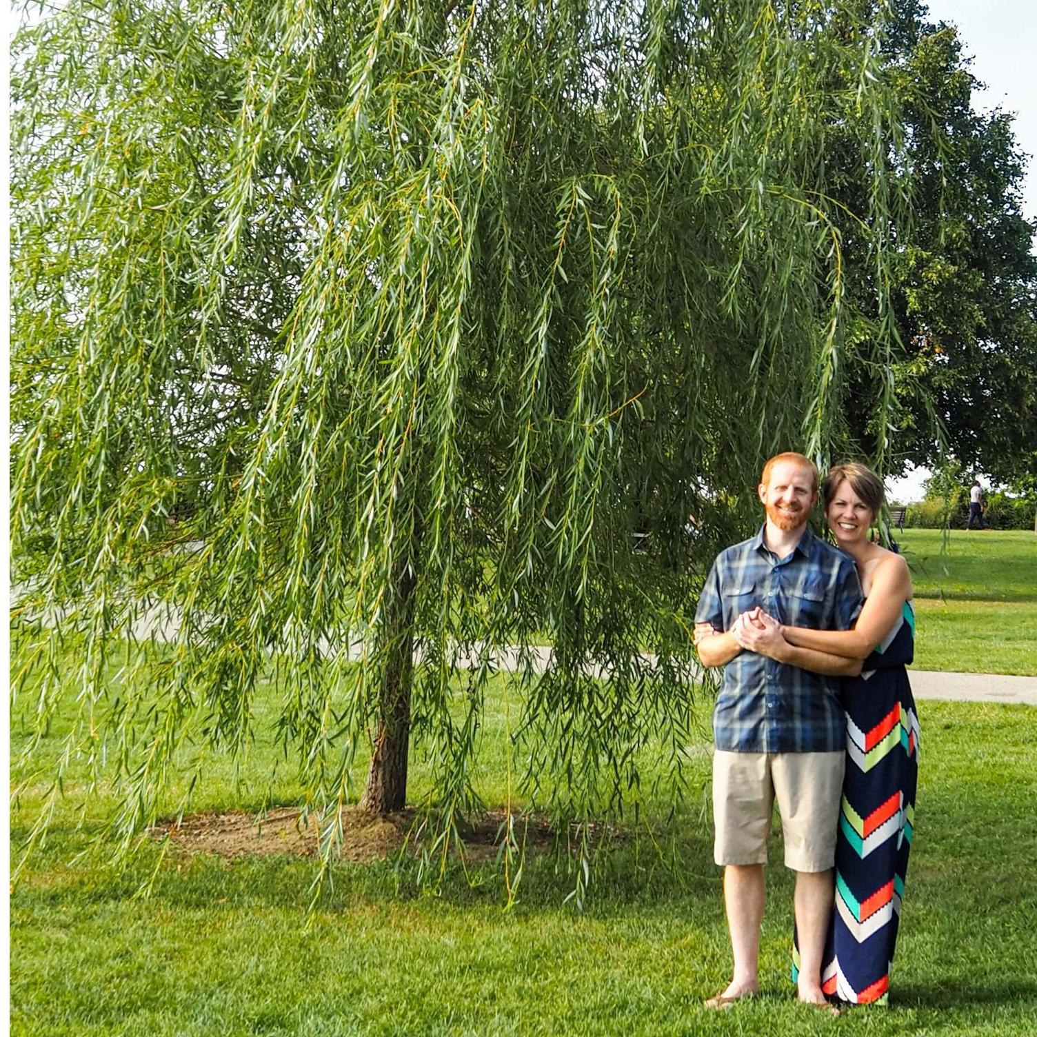 By the willow tree at Edgewater Park where Hans proposed.