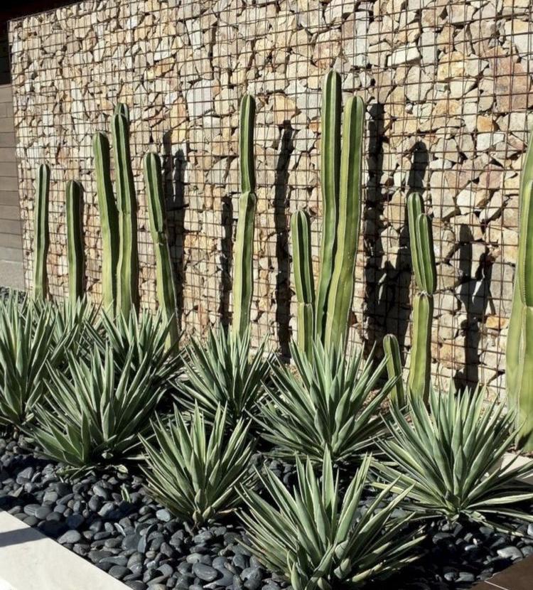 Front Yard Landscape Project