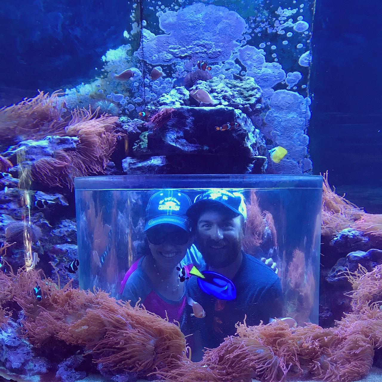 SeaWorld, Orlando.