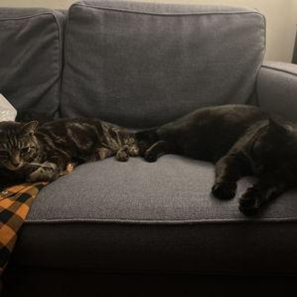Couch Fund!