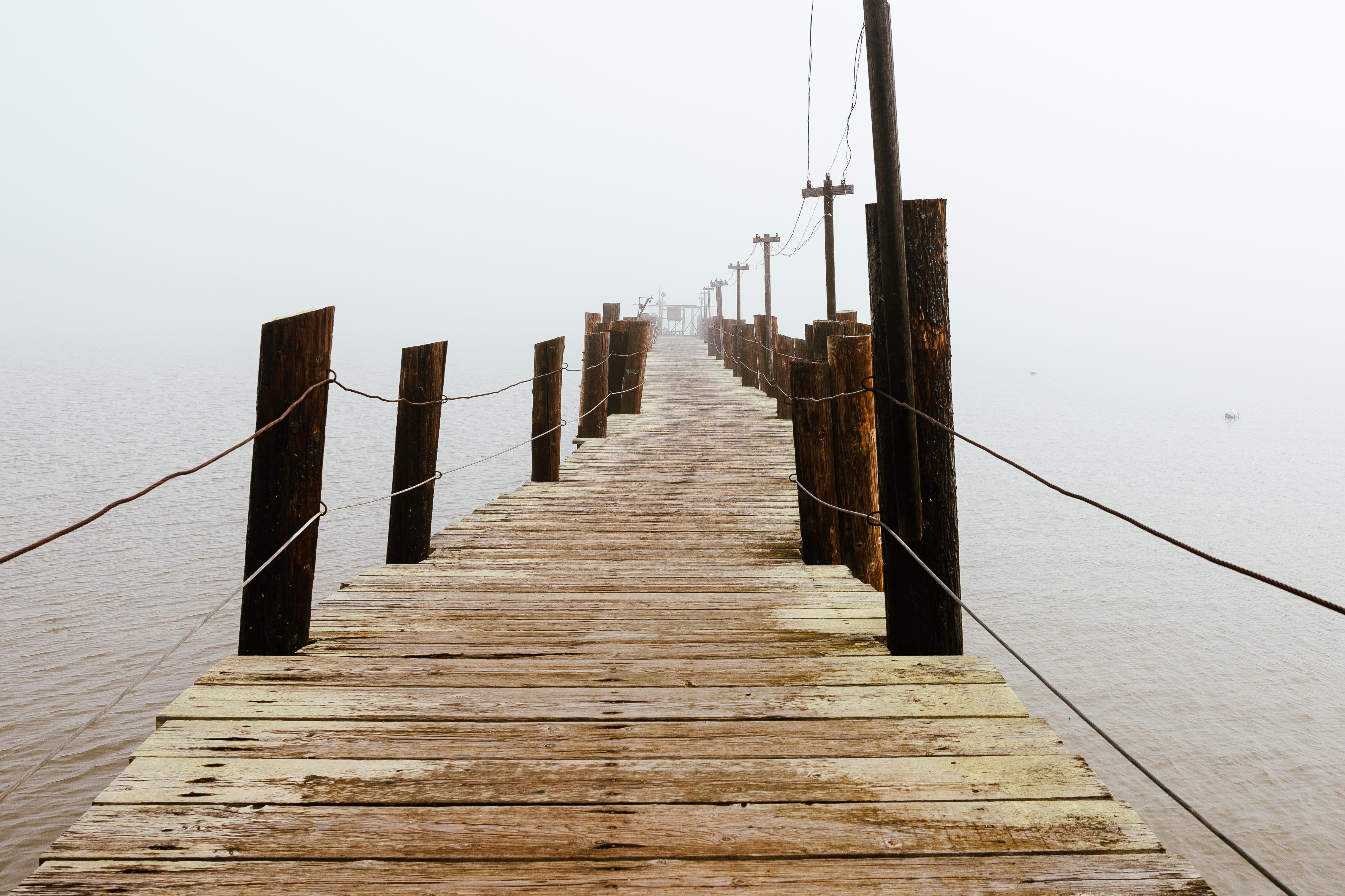 The Wedding Website of Shasta Rice and Alex Coltharp