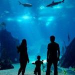 Virginia Aquarium & Marine Science Center