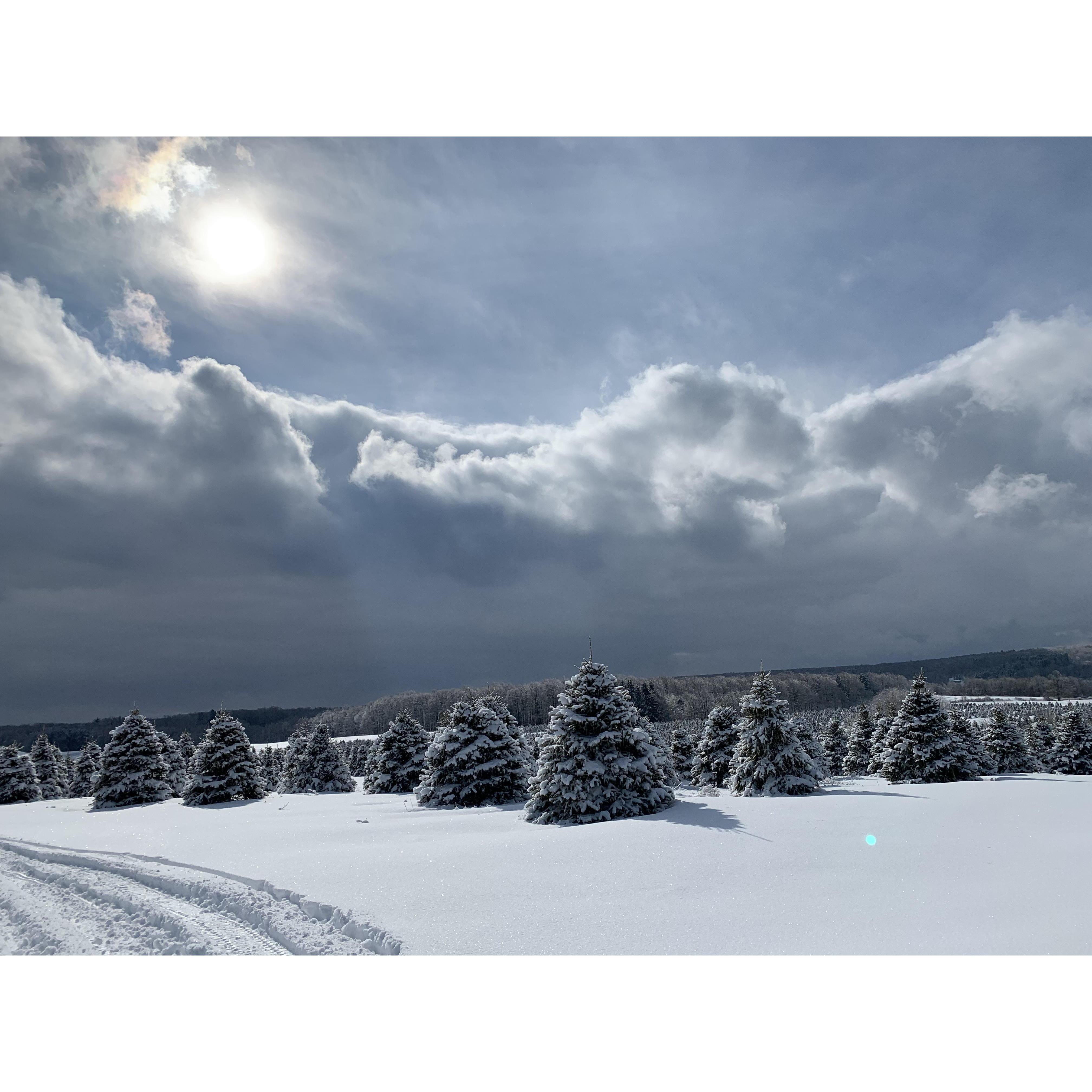 We took advantage of one of the beautiful snowy days to go snowmobiling out in Java, NY