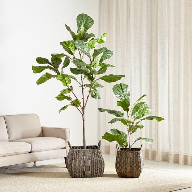 Faux 7' Fiddle Leaf Fig Tree