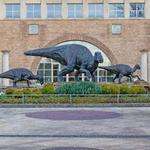 Fernbank Museum