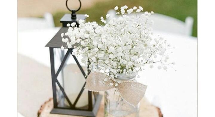 The Wedding Website of Carrie Cutshall and Tristan Madison