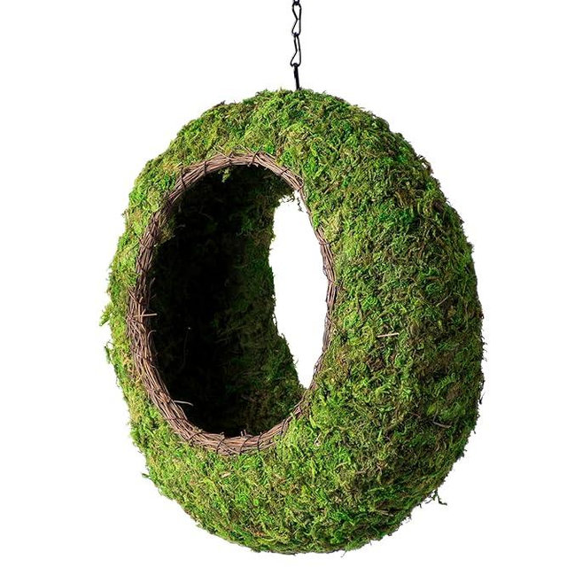 SuperMoss (56904) Sunrise Bird Feeder Hanging Outdoor Décor Handwoven Wicker and Vibrant Green Mountain Moss 12” x 5”