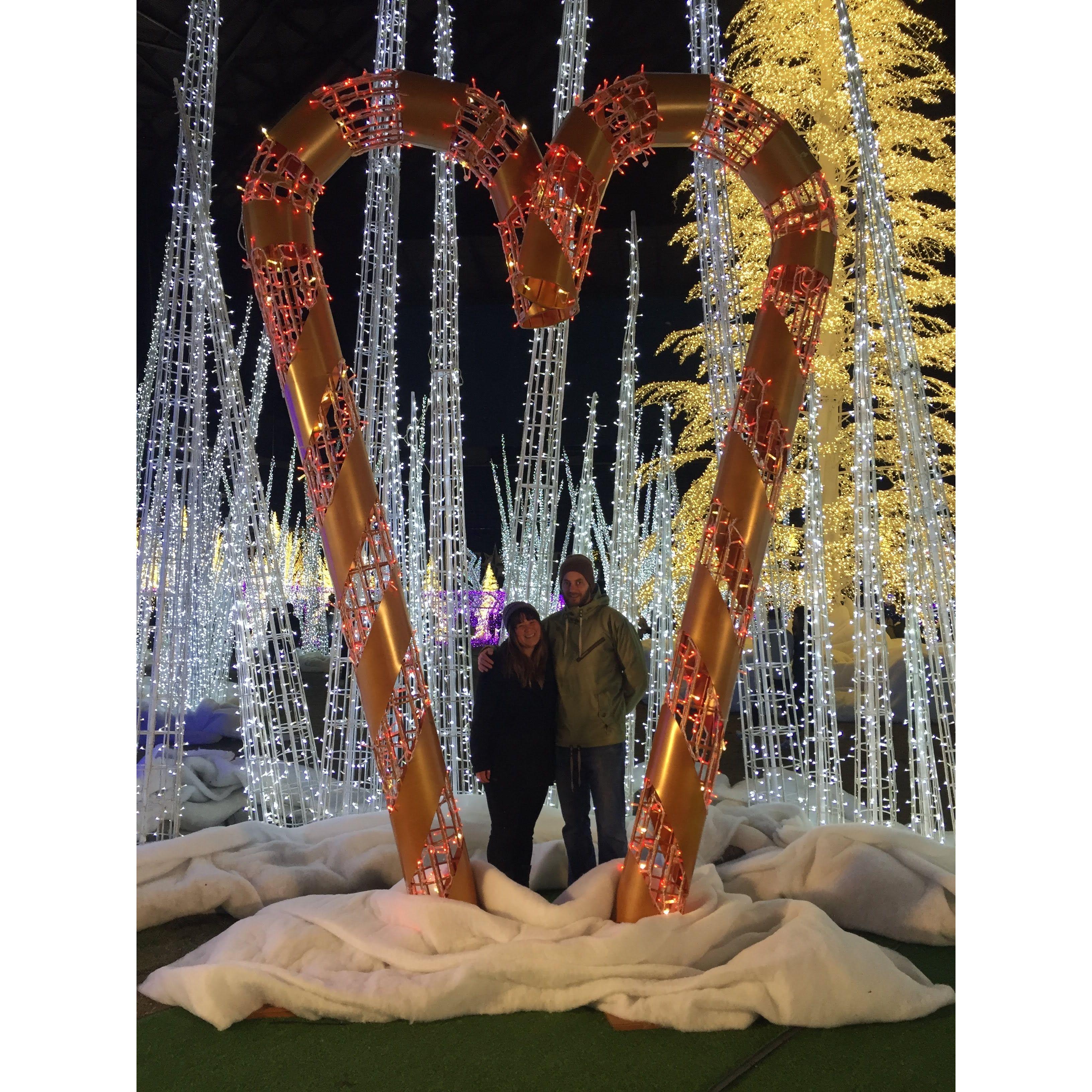 Christmas lights 2018