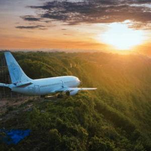 🌏 Flights & Travel