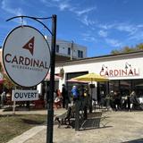 Cardinal Brewing