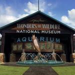 Wonders Of Wildlife National Museum & Aquarium
