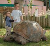 Reptile Gardens