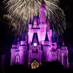 Walt Disney World® Resort