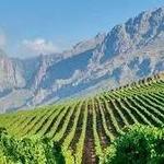 Cape Winelands