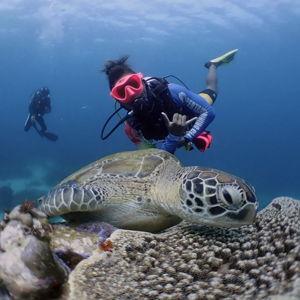 Komodo SCUBA Course