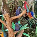 Jungle Island