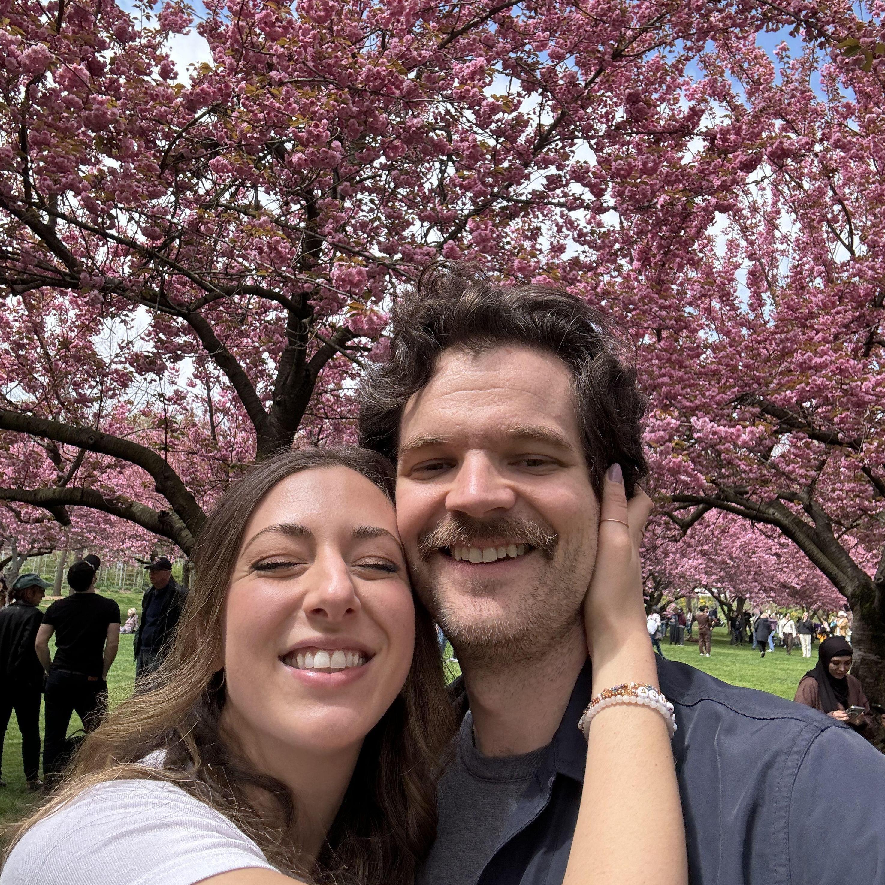 Cherry blossom season